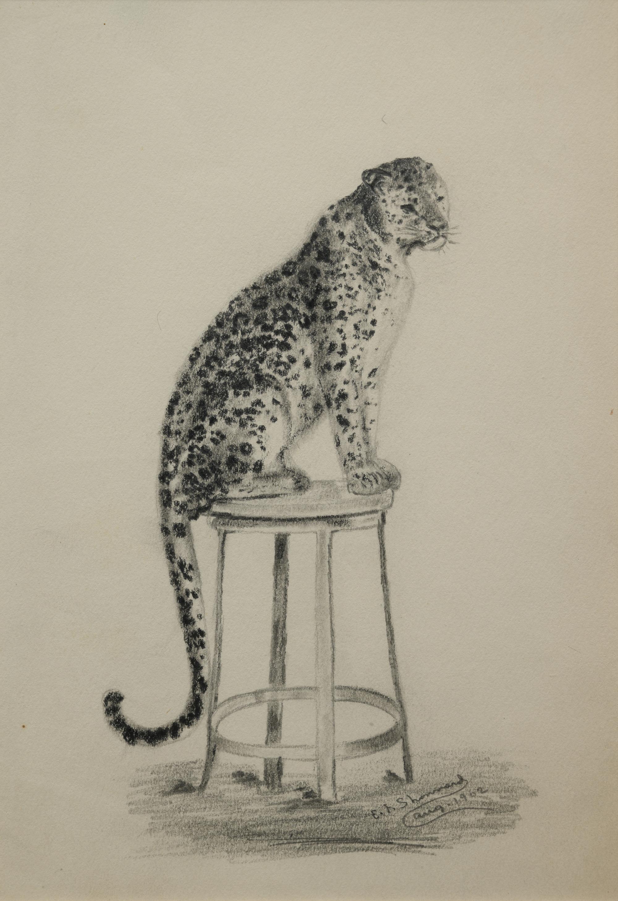 Eugenie Frederica Shonnard (American, 1886-1978)