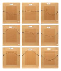 Group of Nine Works, American Bird Series, 1988