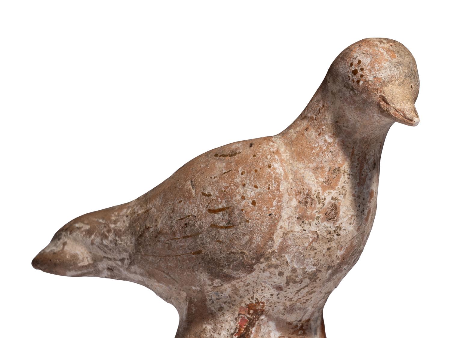 A Canosan Terracotta Bird and Two Whistles
