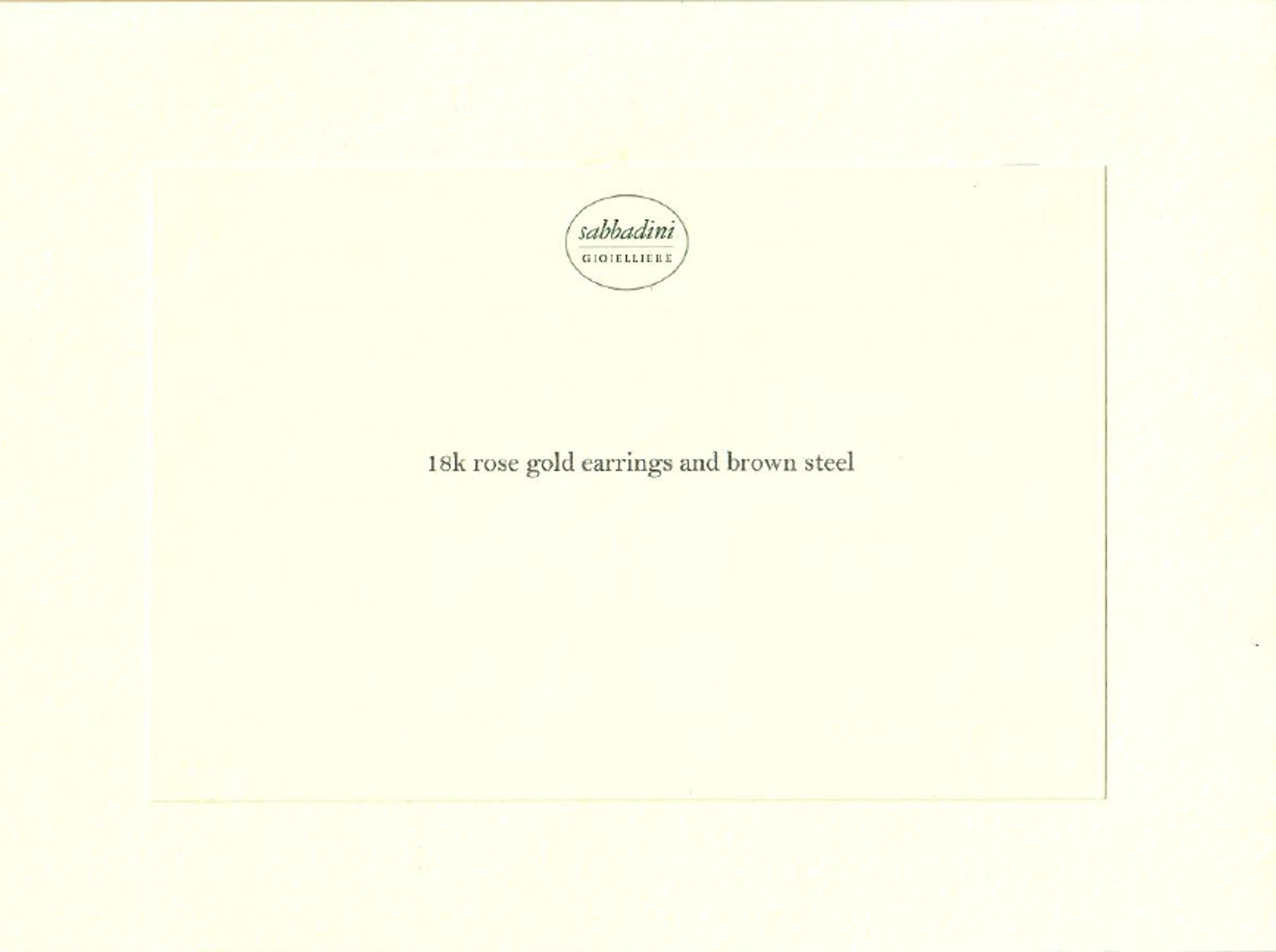 Sabbadini, Rose Gold and Steel Earrings