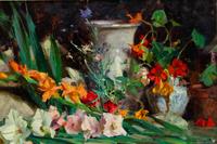 Gladiolas