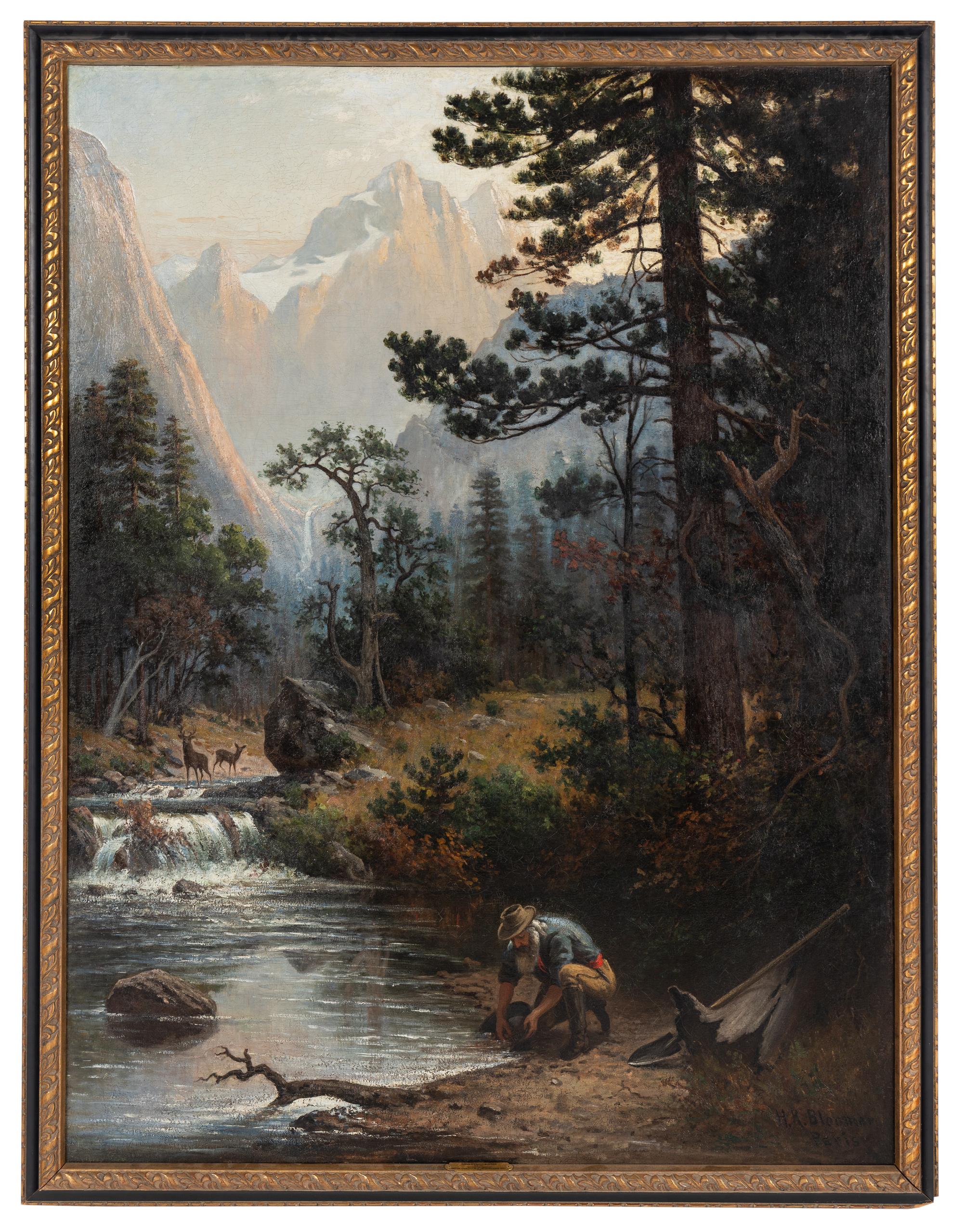Panning the Yosemite