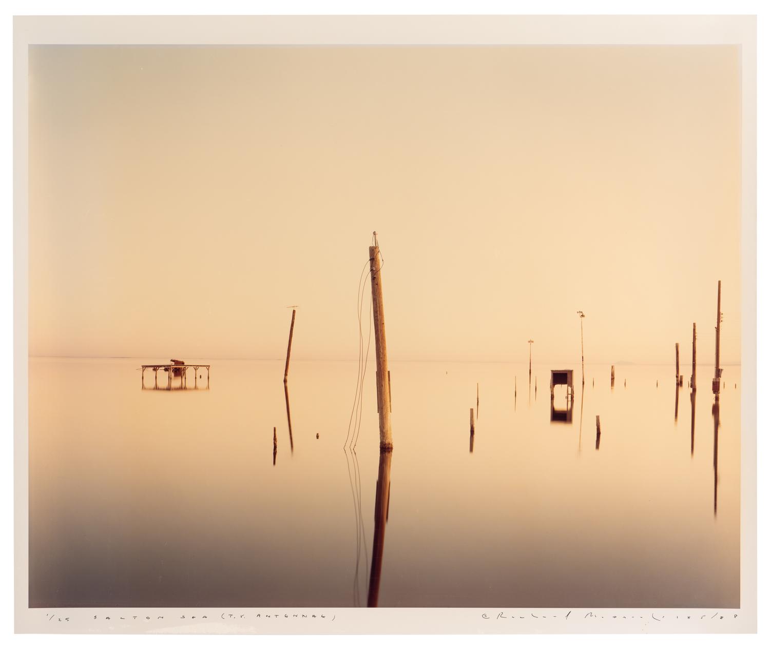 Richard Misrach (b. 1949) Salton Sea (TV antennae), 1985