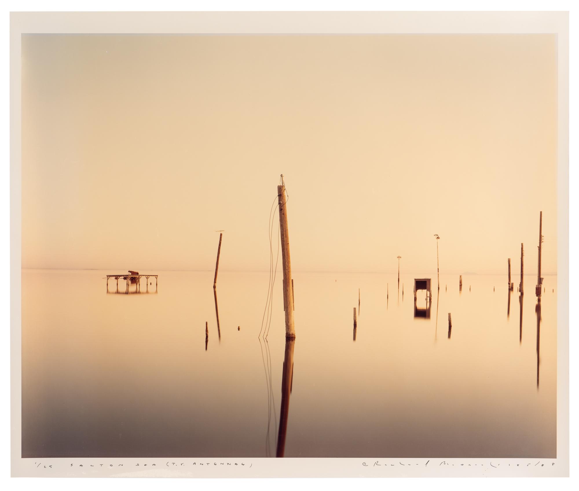 Richard Misrach (b. 1949) Salton Sea (TV antennae), 1985