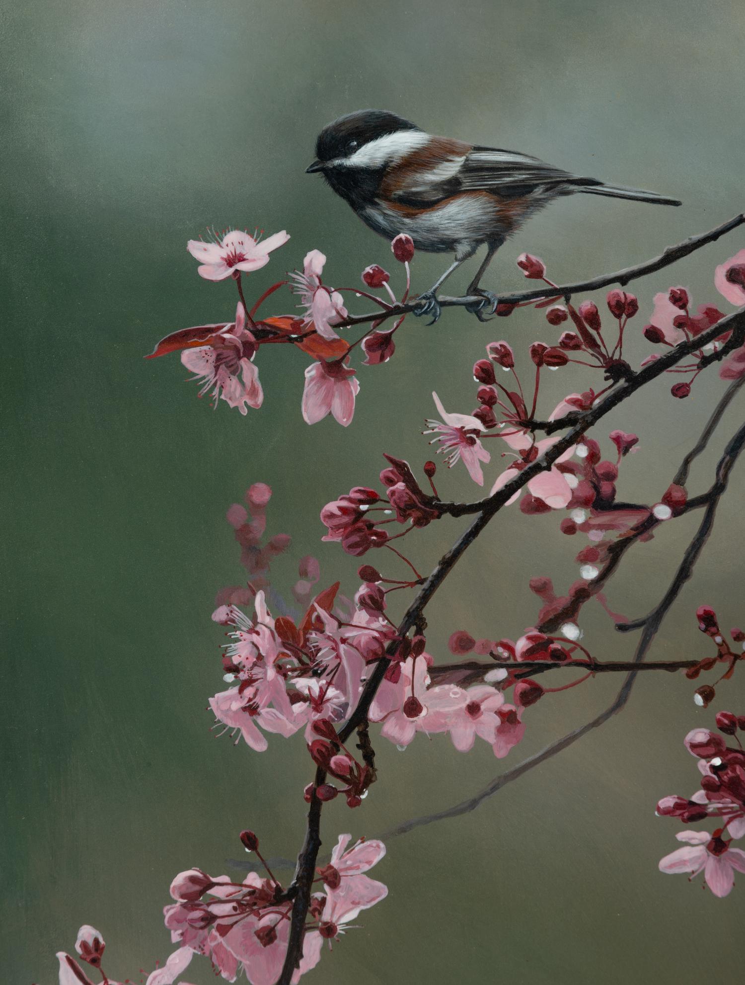 Spring Blossoms , 1997