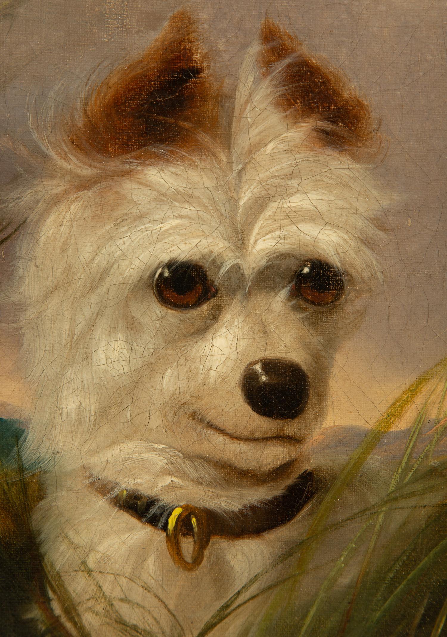 Terrier
