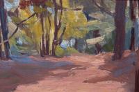 Woodland Scene
