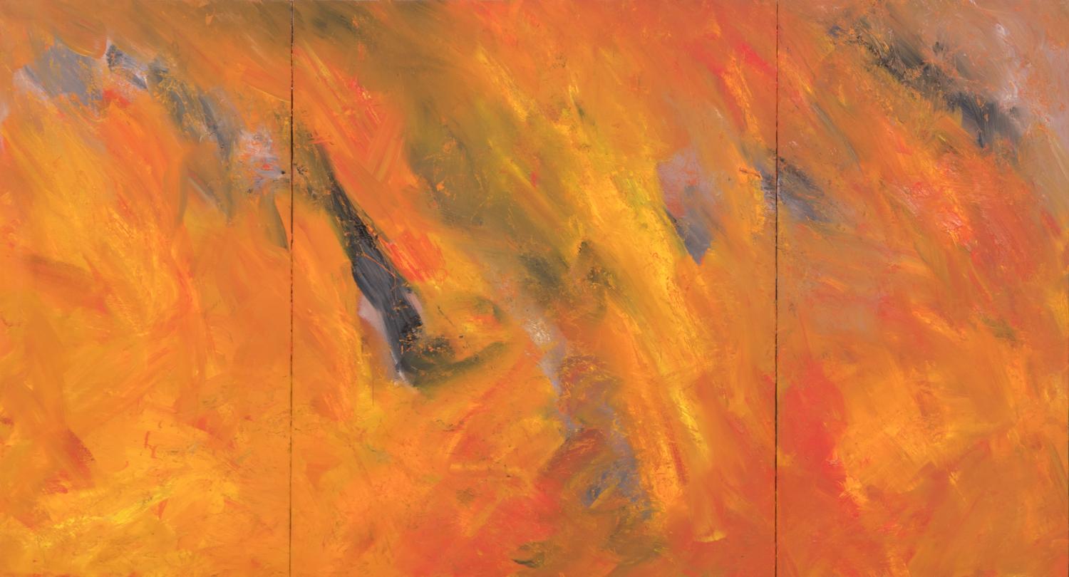 Forest Fire #97