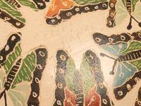 Mata Ortiz Pottery