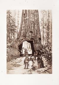 (MUIR, JOHN) Picturesque California. San Fran. and NY, (1888). 2 vols. Illustrated.