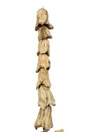 A Pair of Continental Carved and Painted Cornucopia Wall Ornaments