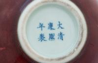A Chinese Peachbloom Glazed Porcelain Bottle Vase
