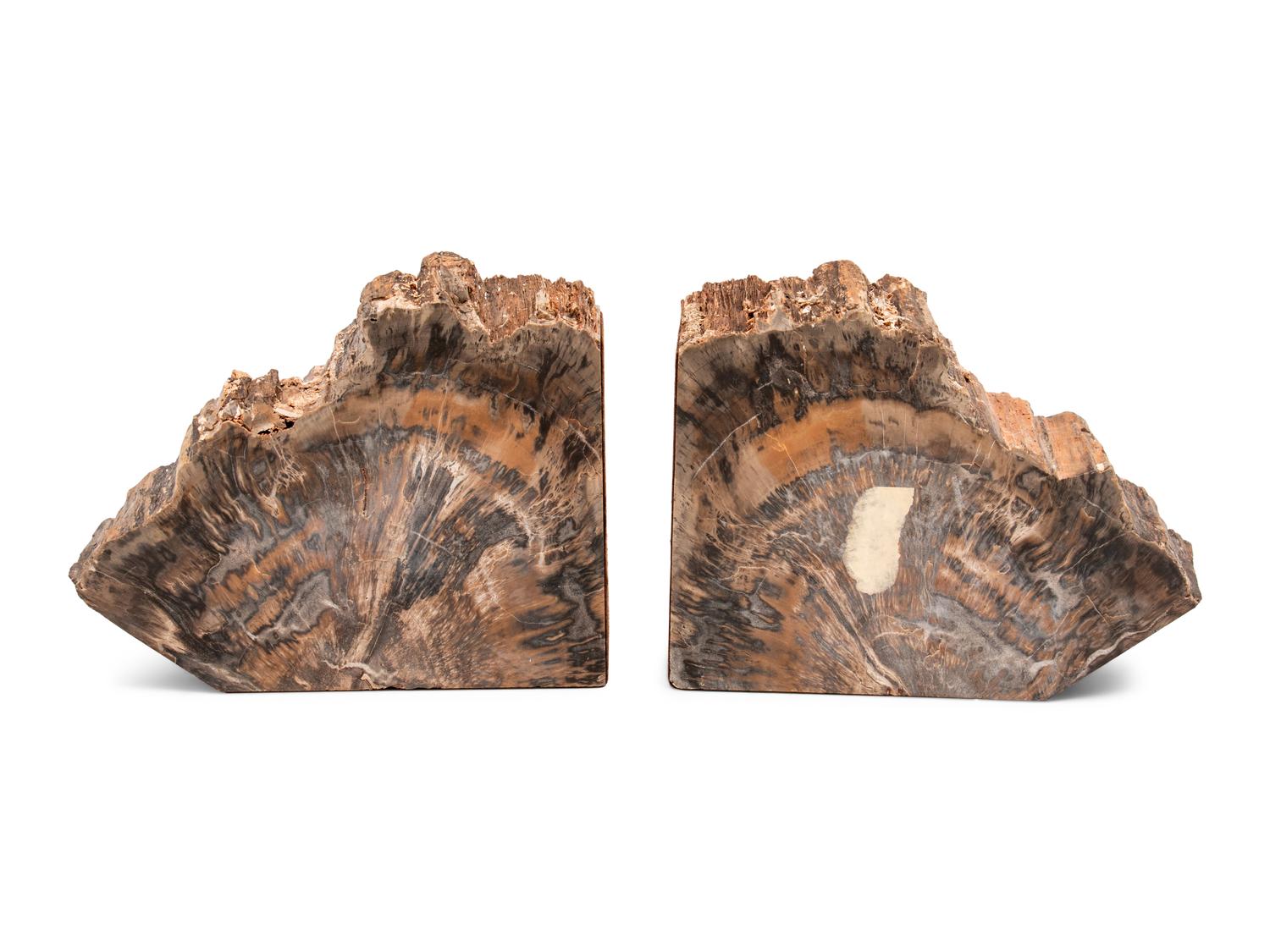 Three Pairs of Petrified Wood Bookends