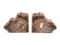Three Pairs of Petrified Wood Bookends