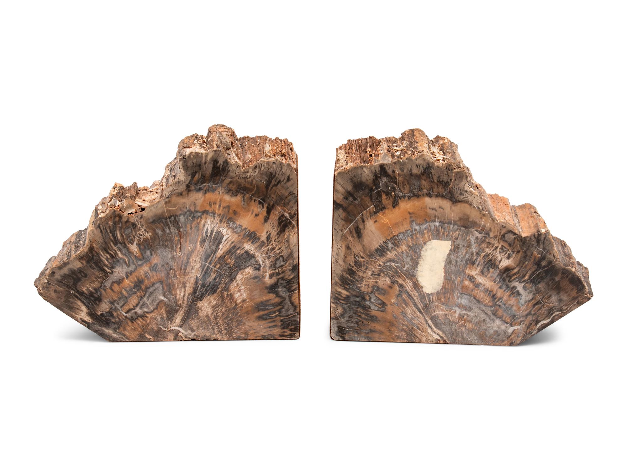 Three Pairs of Petrified Wood Bookends