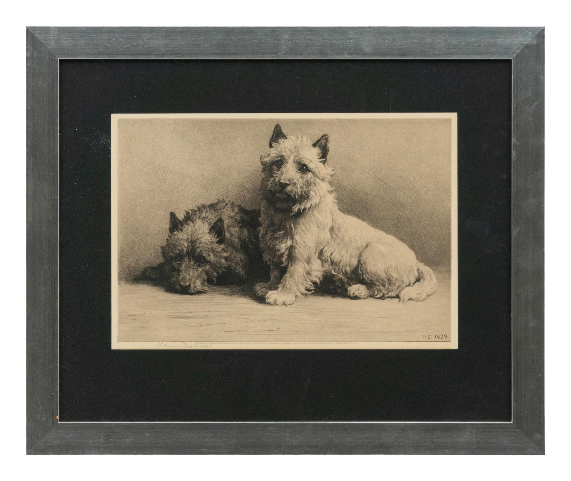 Two Terriers