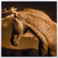 Horse 1 #1/10