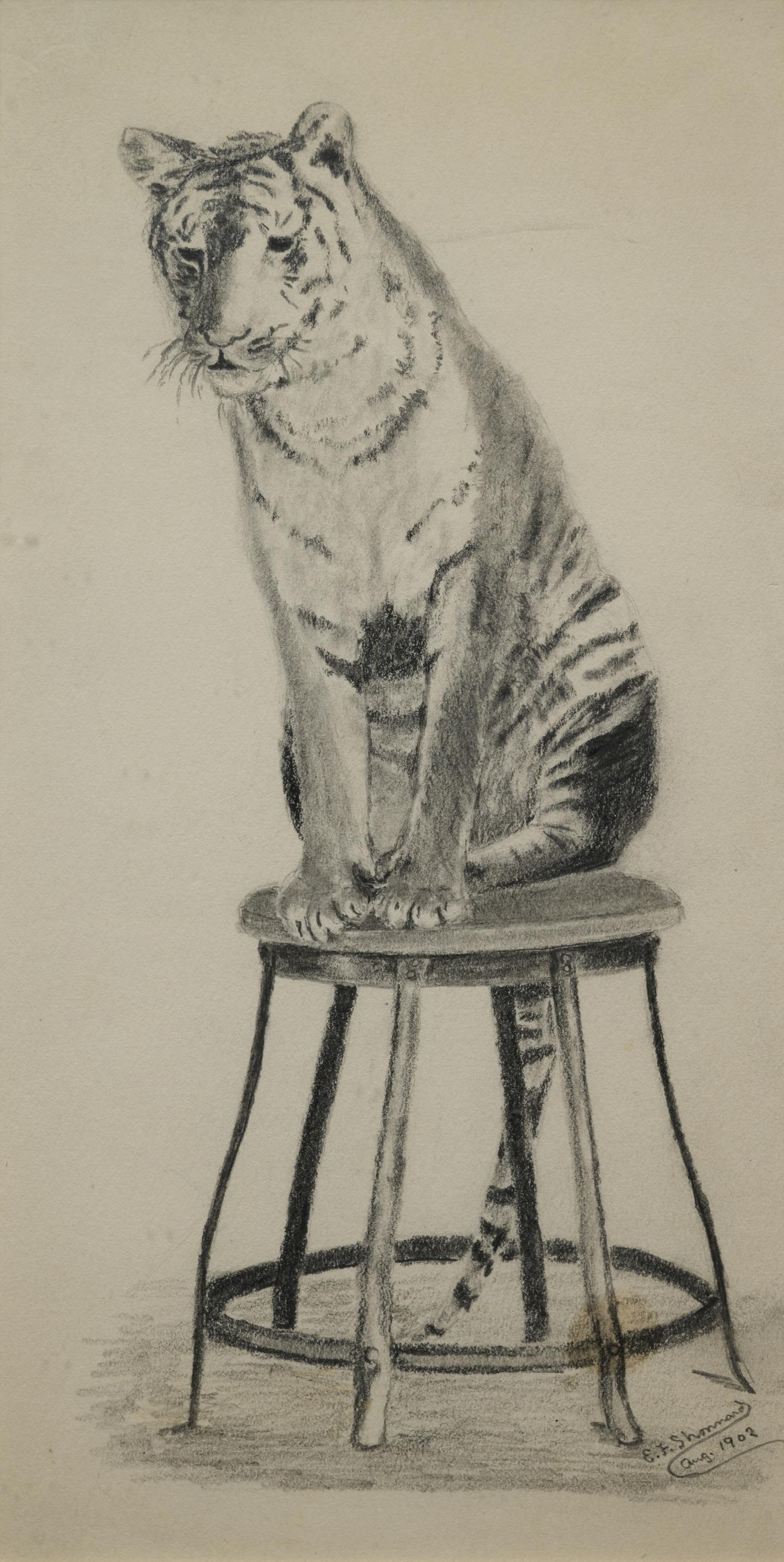 Eugenie Frederica Shonnard (American, 1886-1978)