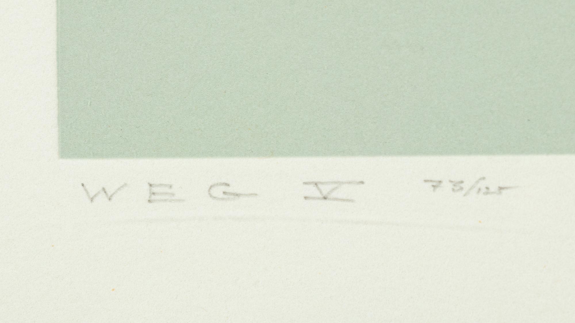 White Embossing on Gray: I-X (complete series)
