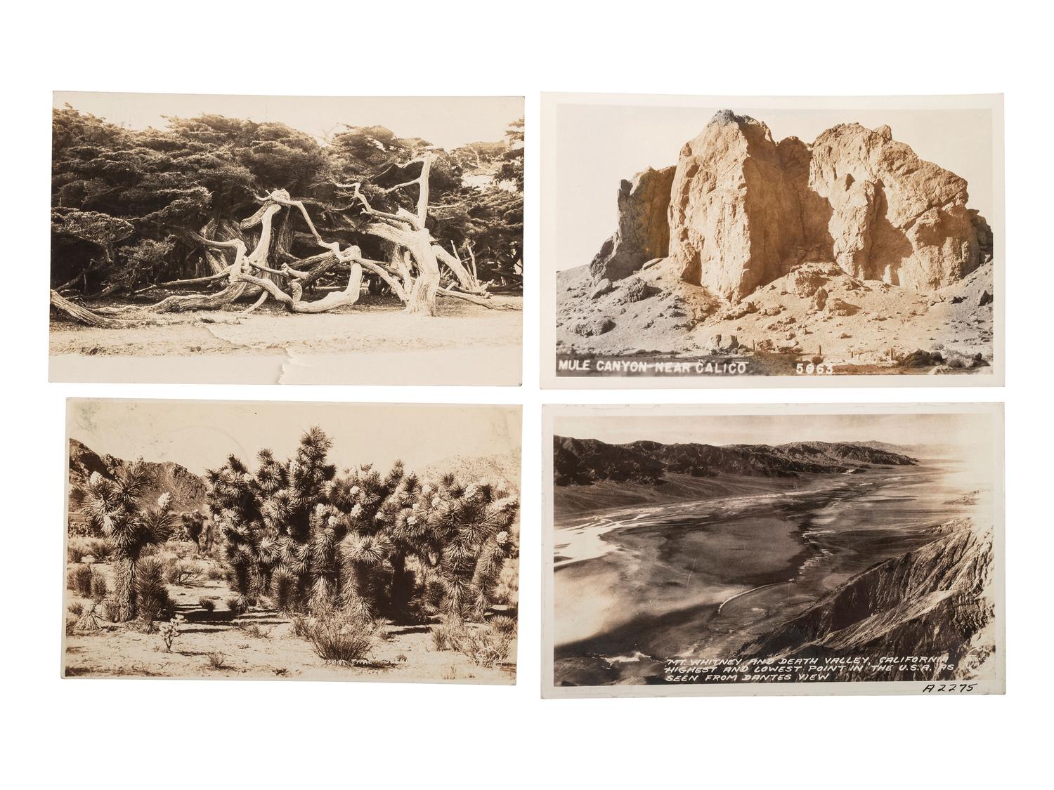 [CALIFORNIA]. 90+ RPPCs and photographs of California wilderness, incl. Yosemite and Redwoods.