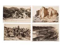 [CALIFORNIA]. 90+ RPPCs and photographs of California wilderness, incl. Yosemite and Redwoods.