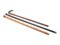 Three Continental Silver-Mounted Doctor's System Walking Sticks