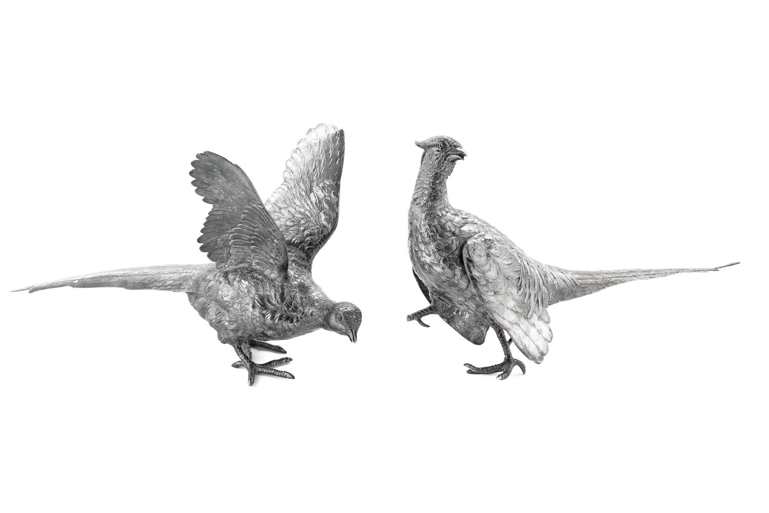 Two English Silver Pheasants