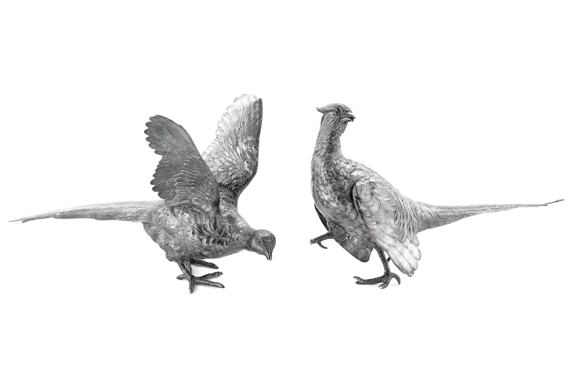 Two English Silver Pheasants