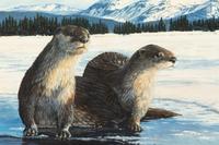 On Thin Ice , 1992