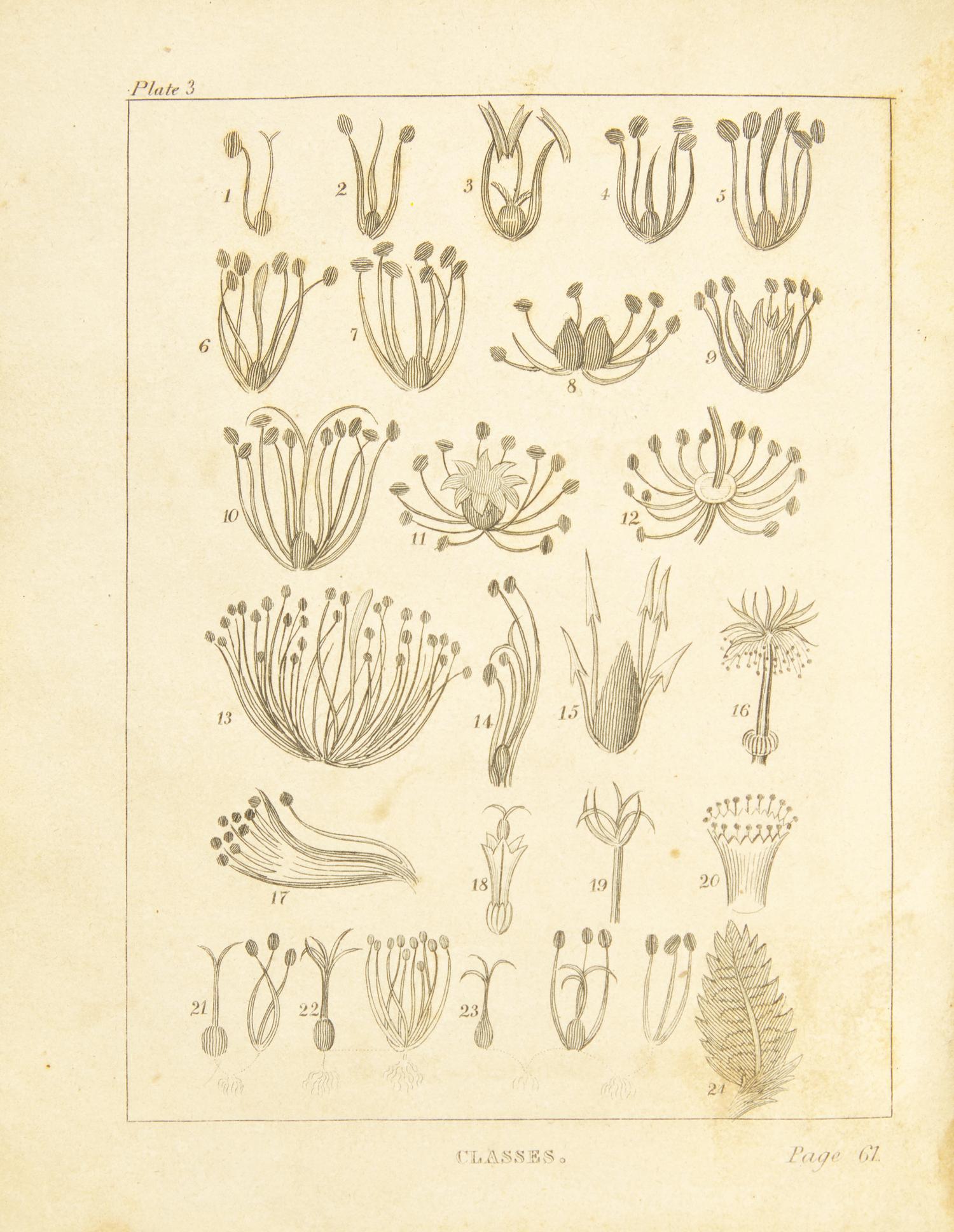 [Children's & Illustrated] Goodrich, Samuel G. The Child's Botany