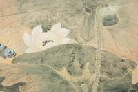 Still Lives with Water Lilies and Butterflies (a pair)