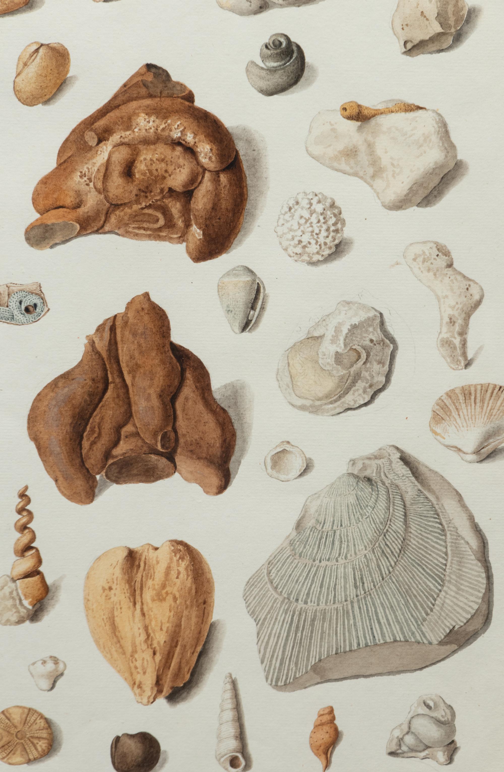 Franz Anton Von Scheidel (Austrian, 1731-1801)