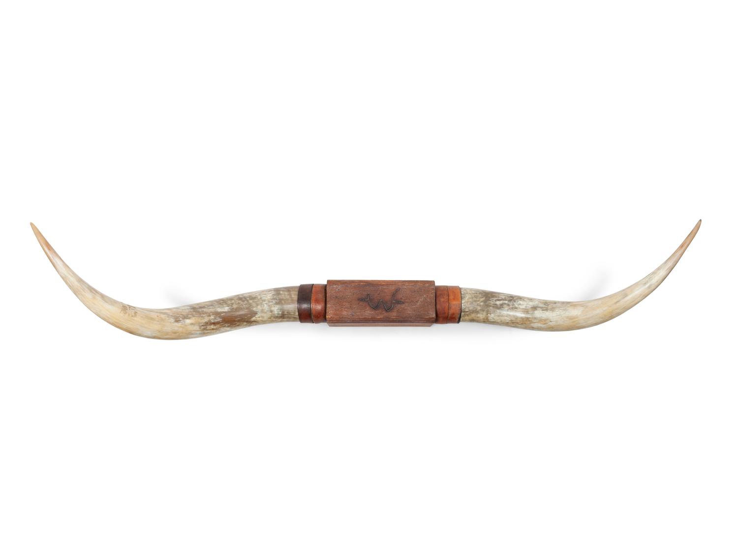 Decorative Longhorn Mount with "W" Brand