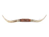 Decorative Longhorn Mount with "W" Brand