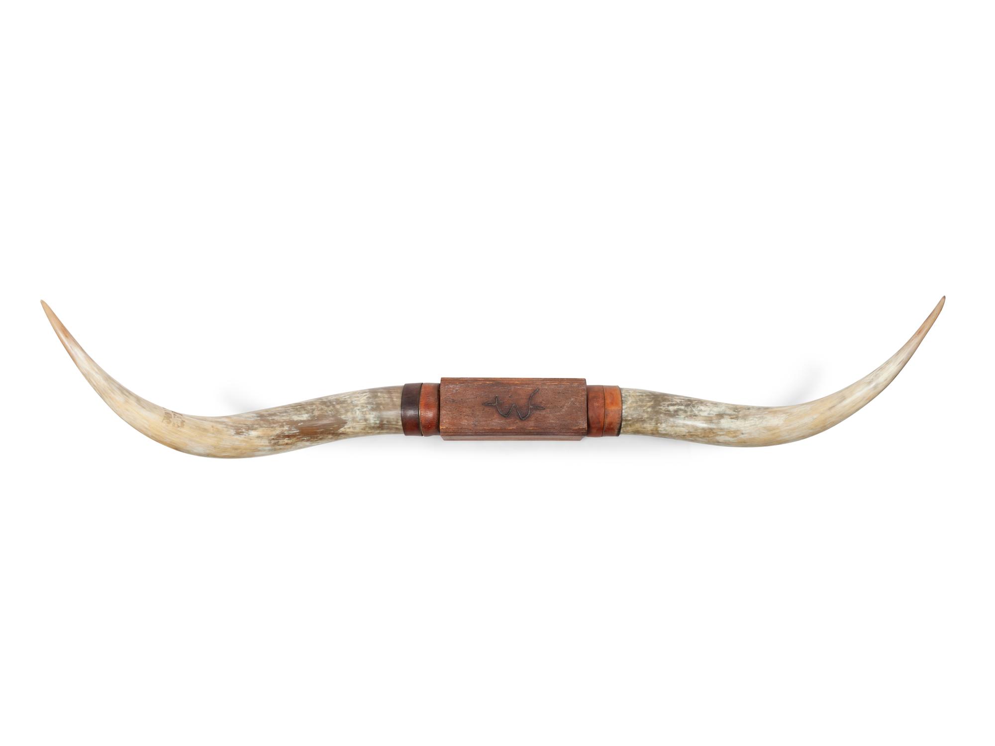 Decorative Longhorn Mount with "W" Brand