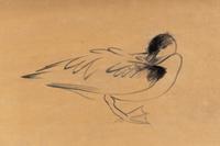 Preening Duck , 1953