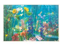 Garden² (complete portfolio of 8), 2000
