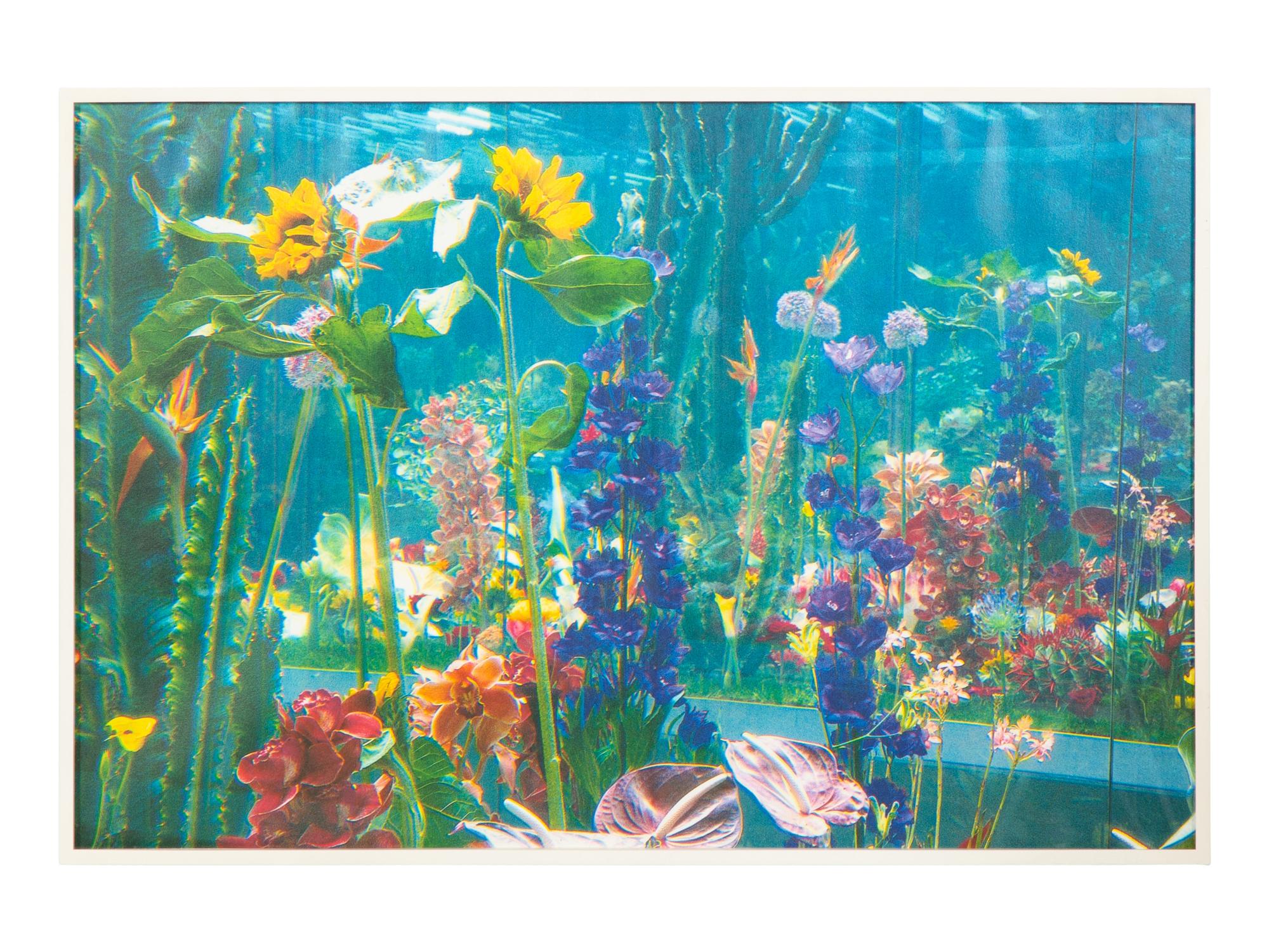 Garden² (complete portfolio of 8), 2000