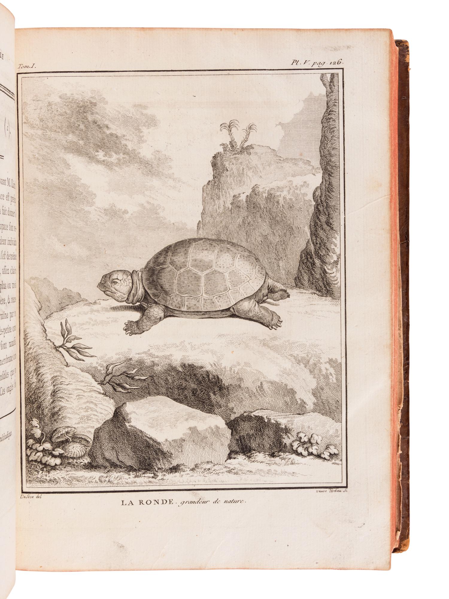 LACÉPÈDE, Bernard Germain de (1759-1825). Historie Naturelle des Quadrupedes Ovipares et des Serpens. Paris: Hôtel de Thou, 1788-1789.