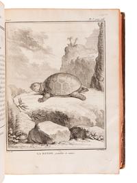 LACÉPÈDE, Bernard Germain de (1759-1825). Historie Naturelle des Quadrupedes Ovipares et des Serpens. Paris: Hôtel de Thou, 1788-1789.