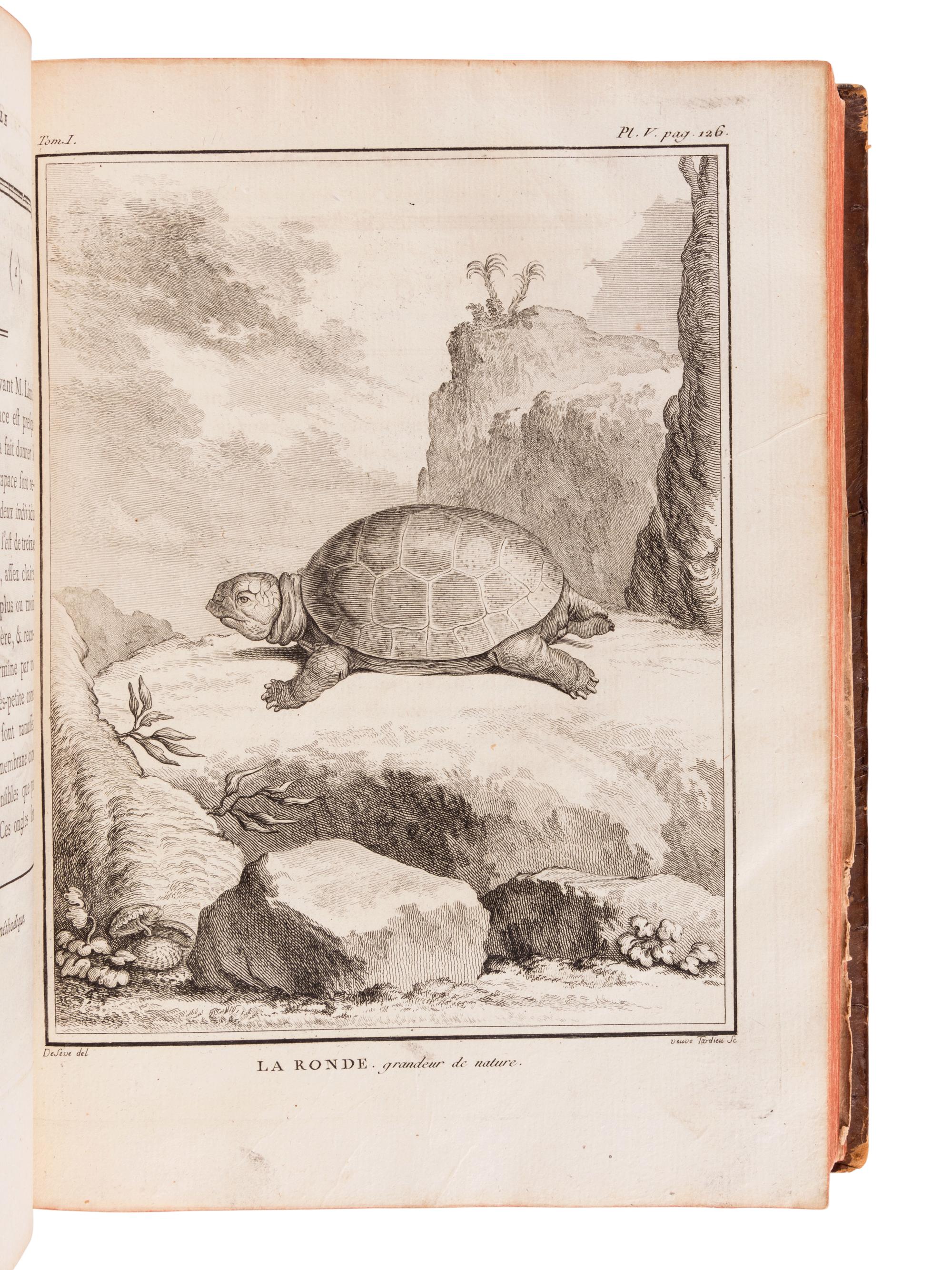 LACÉPÈDE, Bernard Germain de (1759-1825). Historie Naturelle des Quadrupedes Ovipares et des Serpens. Paris: Hôtel de Thou, 1788-1789.