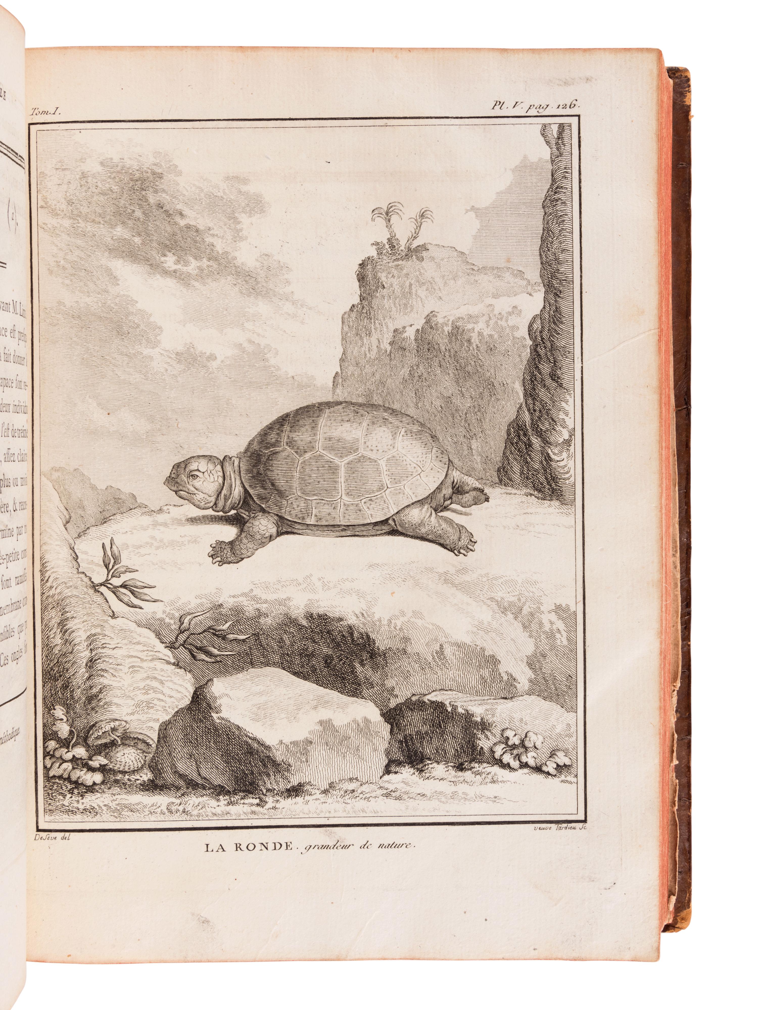 LACÉPÈDE, Bernard Germain de (1759-1825). Historie Naturelle des Quadrupedes Ovipares et des Serpens. Paris: Hôtel de Thou, 1788-1789.