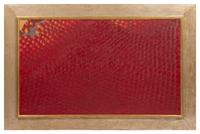 Untitled, 1981