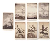 [CIVIL WAR]. A fascinating photographic study of clouds over Corinth, MS, and magnolias by TAYLOR & SEAVEY.