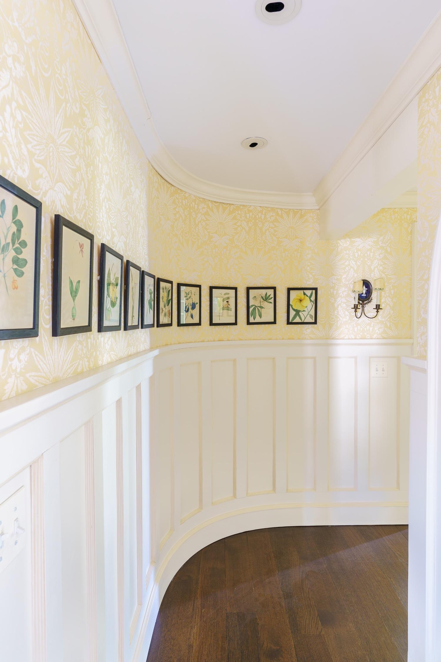 A Set of Eighteen Framed English Botanical Watercolor Illustrations
