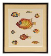 A Suite of Thirteen Framed Giclee Prints of Colorful Tropical Fish — 20TH/21ST CENTURY