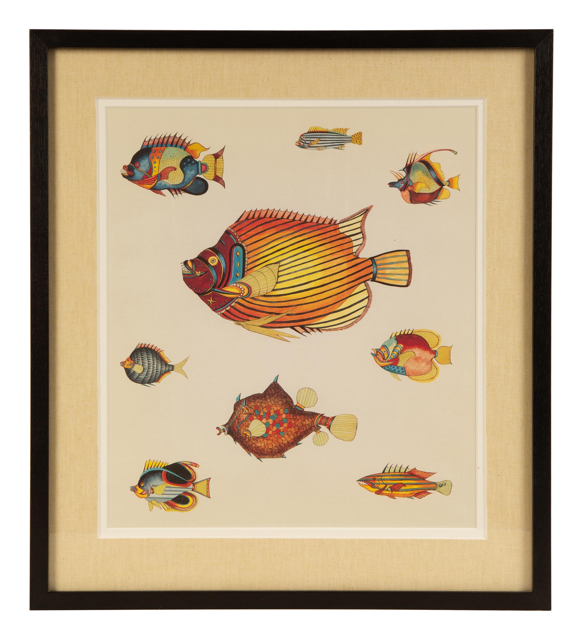 A Suite of Thirteen Framed Giclee Prints of Colorful Tropical Fish — 20TH/21ST CENTURY
