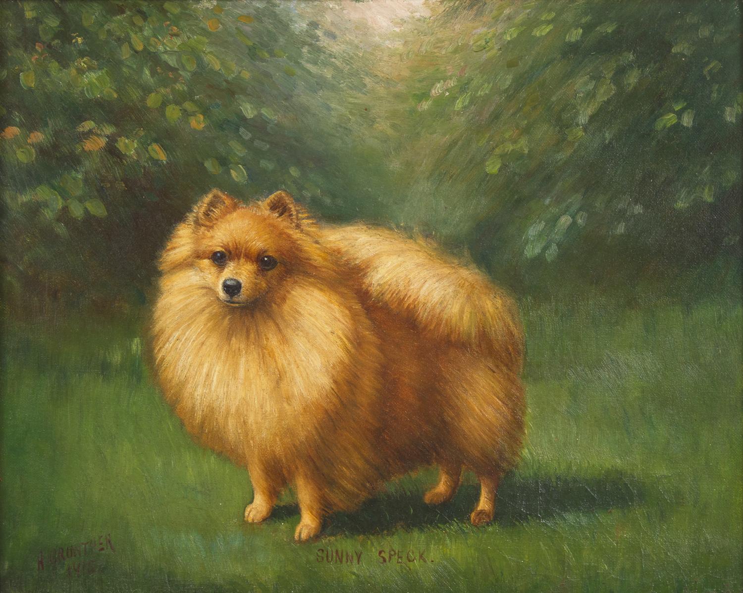 Sunny Speck, 1915