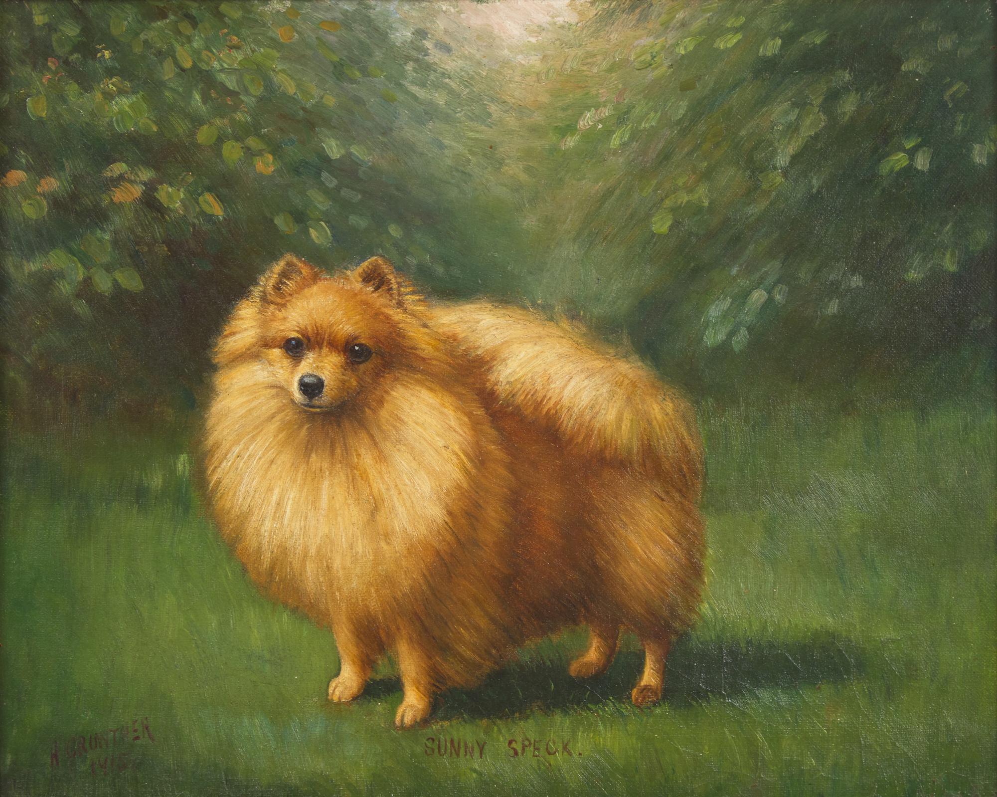 Sunny Speck, 1915
