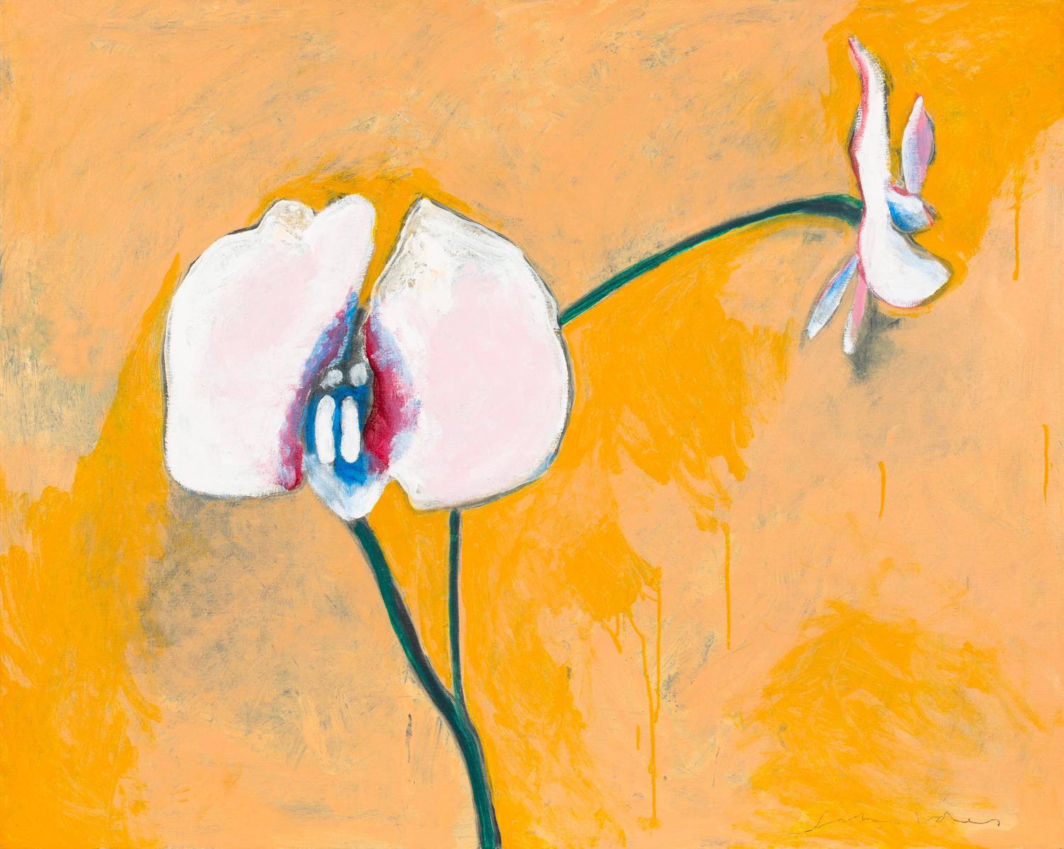 Orchid for Lloyd
